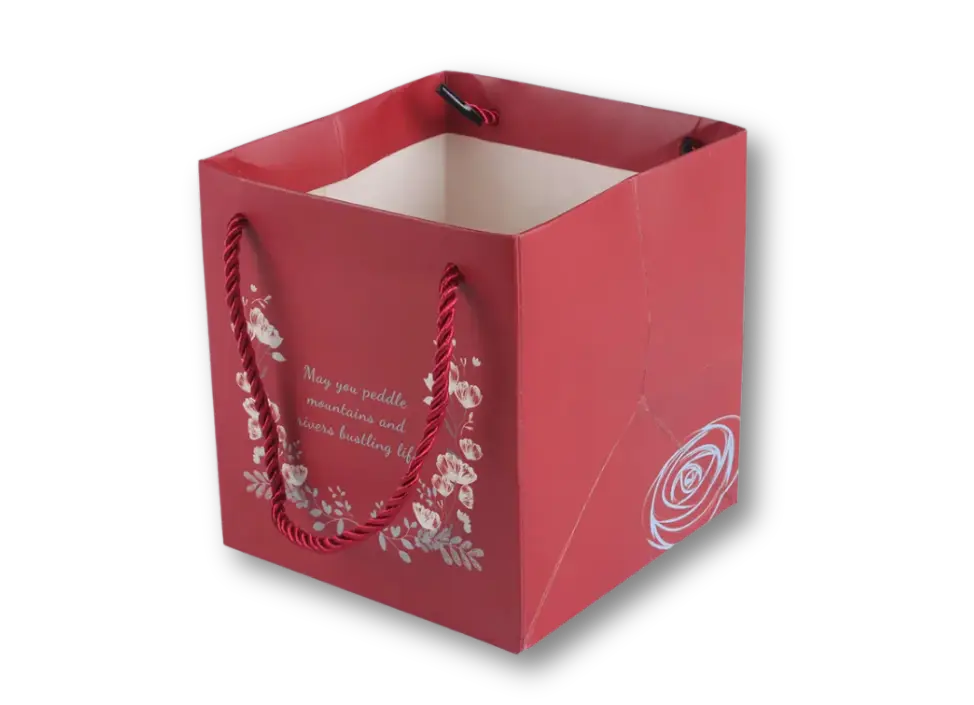 Baskılı Geniş Körüklü Çanta